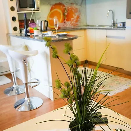 Fenix Banja Koviljac̣a Banja Koviljača