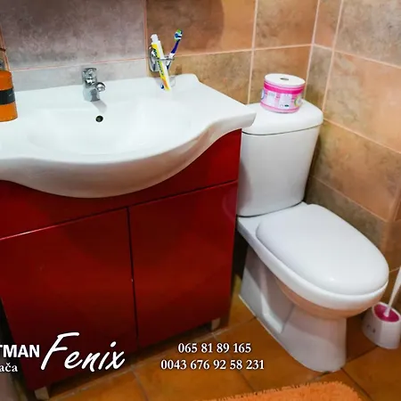 Fenix Banja Koviljac̣a Apartmán Banja Koviljača