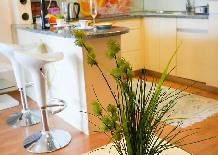 Fenix Banja Koviljac̣a Banja Koviljača