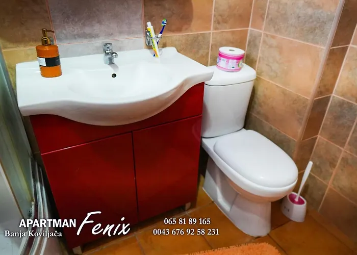 Fenix Banja Koviljac̣a Apartmán Banja Koviljača
